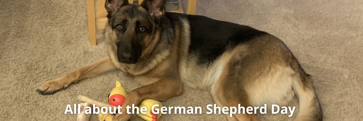german-shepherd-day